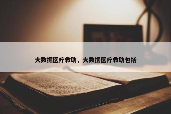 大数据医疗救助，大数据医疗救助包括