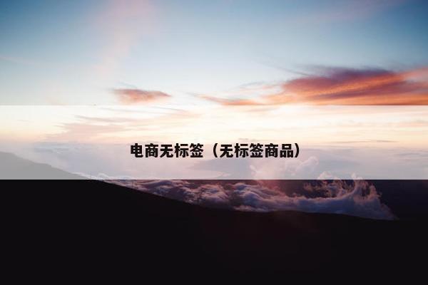 电商无标签（无标签商品）