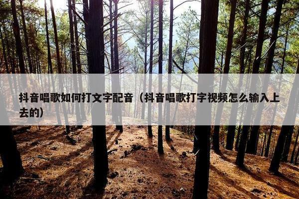 抖音唱歌如何打文字配音（抖音唱歌打字视频怎么输入上去的）