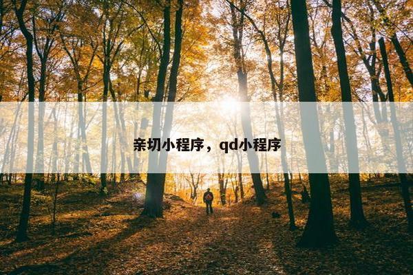 亲切小程序，qd小程序