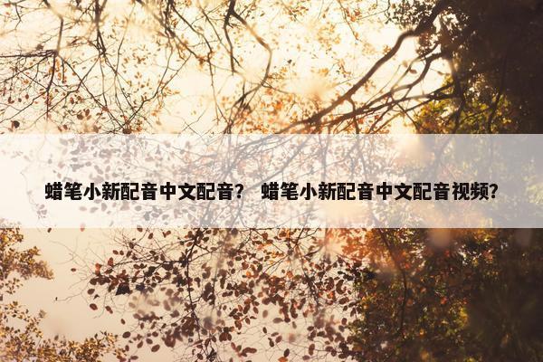 蜡笔小新配音中文配音？ 蜡笔小新配音中文配音视频？