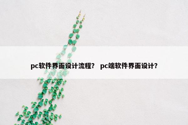 pc软件界面设计流程？ pc端软件界面设计？