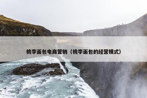 桃李面包电商营销（桃李面包的经营模式）