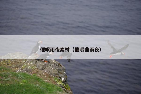 催眠雨夜素材（催眠曲雨夜）