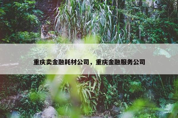 重庆卖金融耗材公司，重庆金融服务公司
