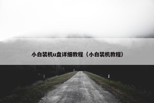 小白装机u盘详细教程（小白装机教程）