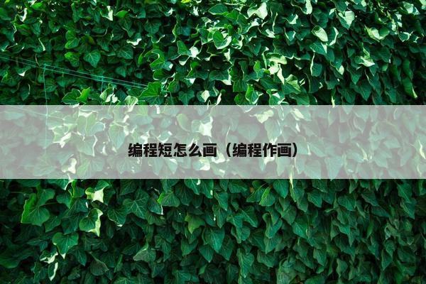 编程短怎么画（编程作画）