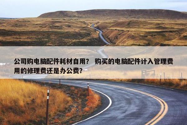 公司购电脑配件耗材自用？ 购买的电脑配件计入管理费用的修理费还是办公费？