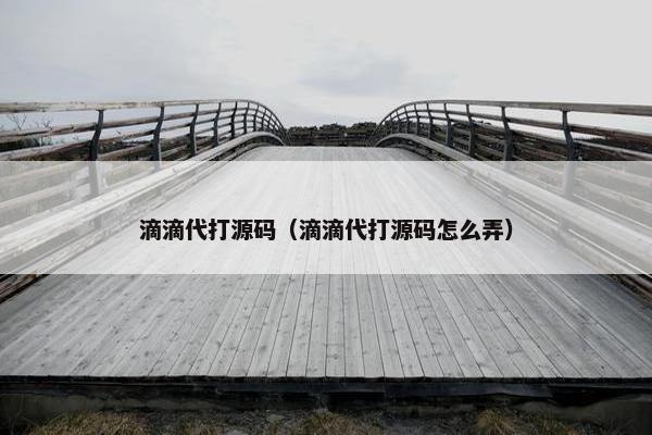 滴滴代打源码（滴滴代打源码怎么弄）