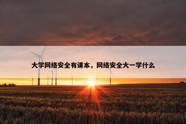 大学网络安全有课本，网络安全大一学什么