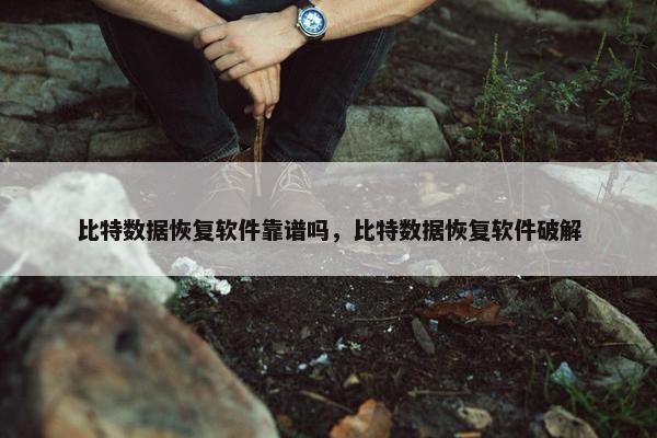 比特数据恢复软件靠谱吗，比特数据恢复软件破解