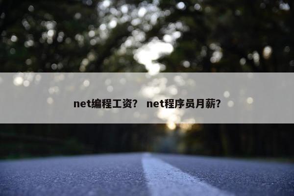 net编程工资？ net程序员月薪？