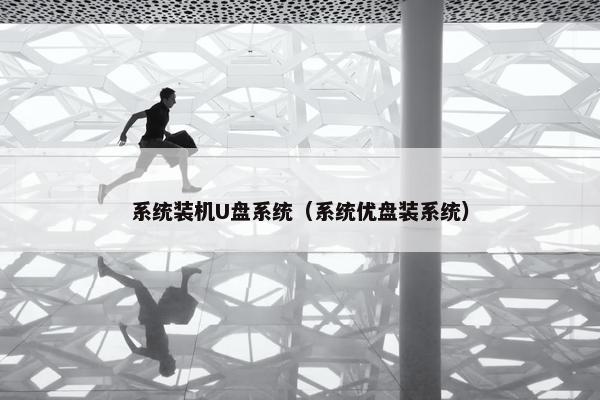 系统装机U盘系统（系统优盘装系统）