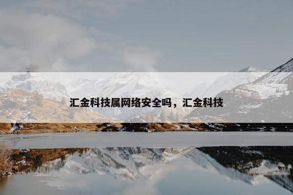 汇金科技属网络安全吗，汇金科技