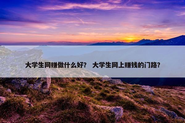 大学生网赚做什么好？ 大学生网上赚钱的门路？