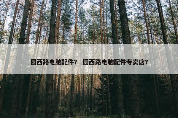 园西路电脑配件？ 园西路电脑配件专卖店？