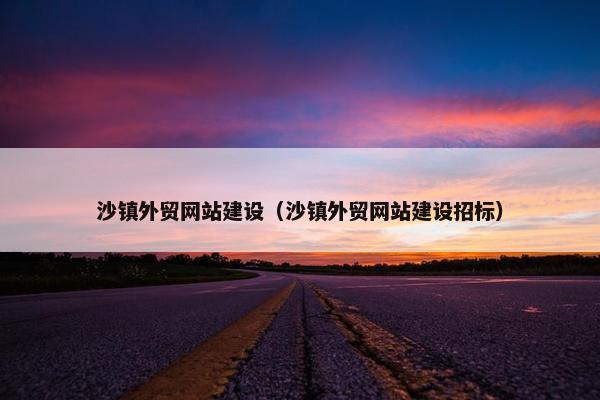 沙镇外贸网站建设（沙镇外贸网站建设招标）