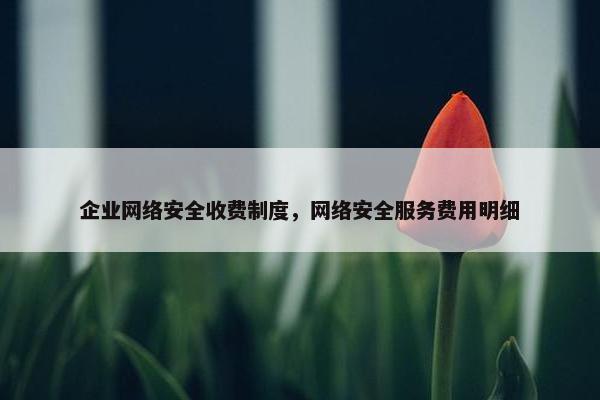 企业网络安全收费制度，网络安全服务费用明细