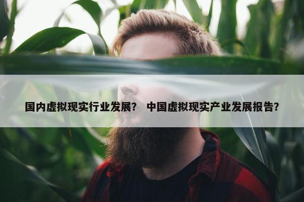 国内虚拟现实行业发展？ 中国虚拟现实产业发展报告？