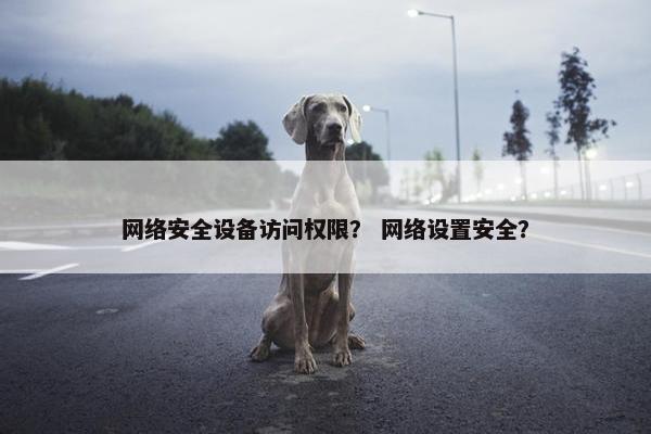 网络安全设备访问权限？ 网络设置安全？