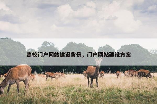 高校门户网站建设背景，门户网站建设方案
