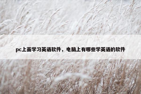 pc上面学习英语软件，电脑上有哪些学英语的软件