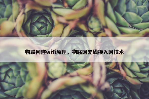 物联网连wifi原理，物联网无线接入网技术