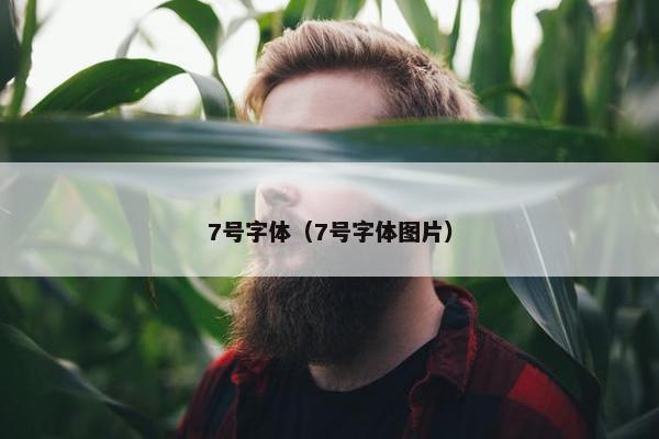 7号字体（7号字体图片）