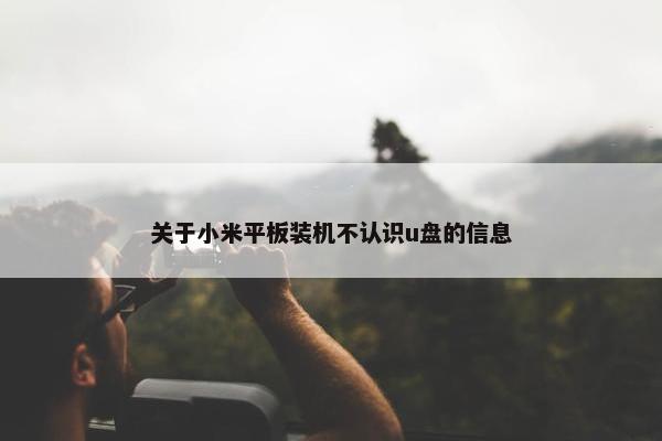 关于小米平板装机不认识u盘的信息