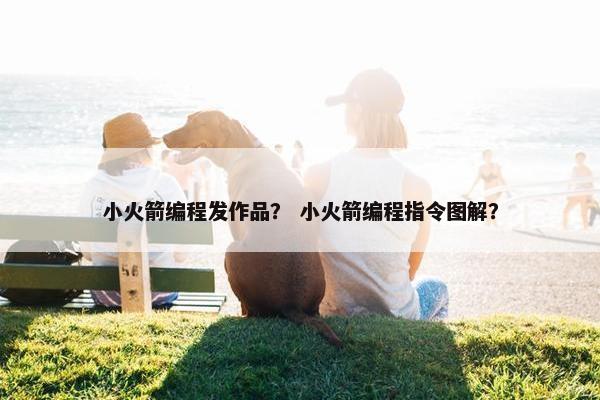 小火箭编程发作品？ 小火箭编程指令图解？