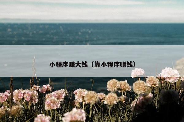 小程序赚大钱（靠小程序赚钱）