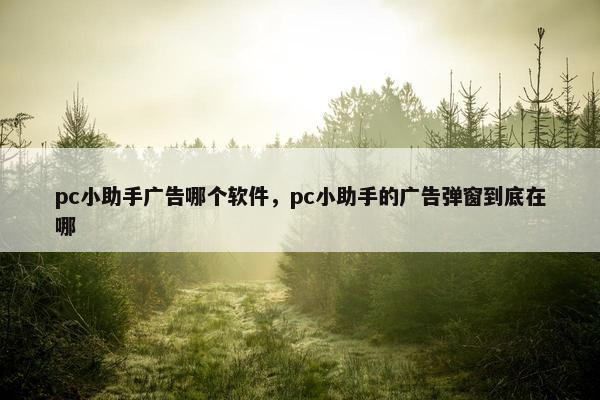 pc小助手广告哪个软件，pc小助手的广告弹窗到底在哪