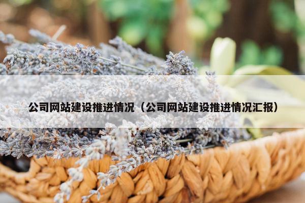 公司网站建设推进情况（公司网站建设推进情况汇报）