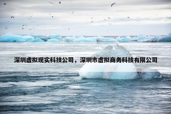 深圳虚拟现实科技公司，深圳市虚拟商务科技有限公司