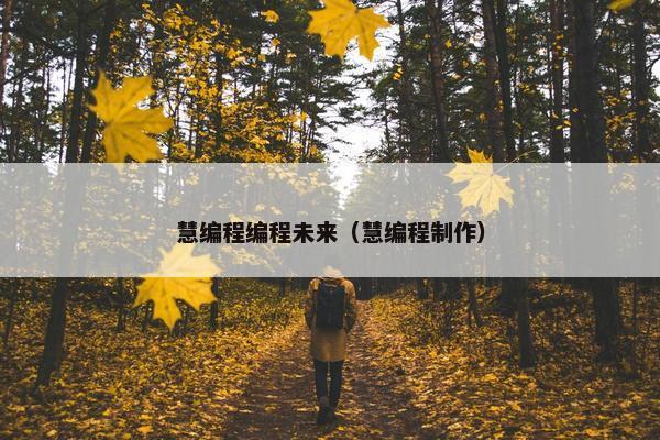 慧编程编程未来（慧编程制作）