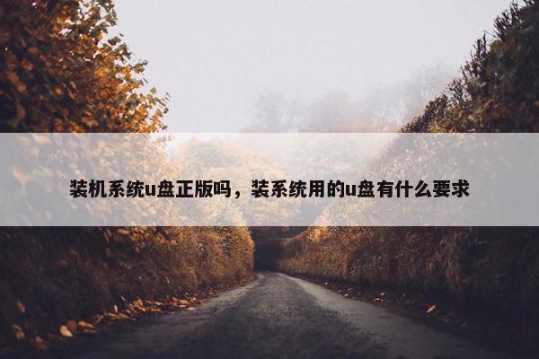 装机系统u盘正版吗，装系统用的u盘有什么要求