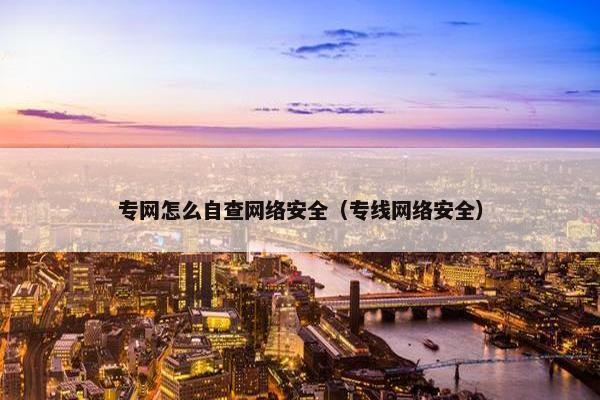 专网怎么自查网络安全（专线网络安全）
