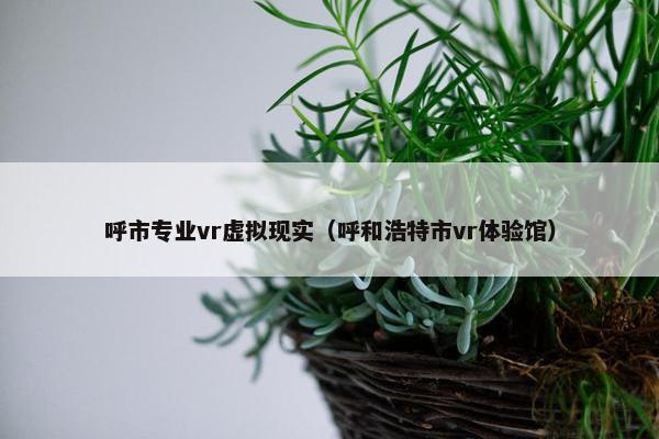 呼市专业vr虚拟现实（呼和浩特市vr体验馆）