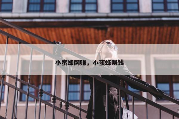 小蜜蜂网赚，小蜜蜂赚钱