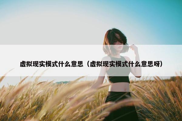 虚拟现实模式什么意思（虚拟现实模式什么意思呀）