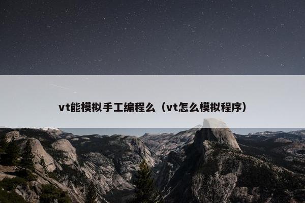vt能模拟手工编程么（vt怎么模拟程序）