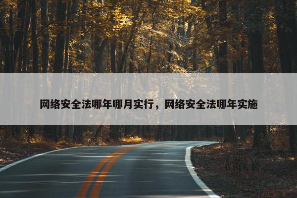 网络安全法哪年哪月实行，网络安全法哪年实施