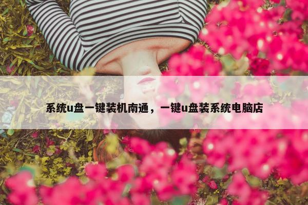 系统u盘一键装机南通，一键u盘装系统电脑店