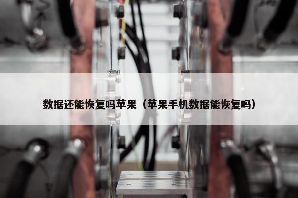 数据还能恢复吗苹果（苹果手机数据能恢复吗）