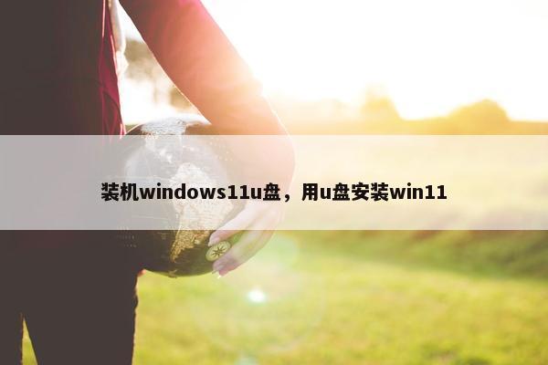 装机windows11u盘，用u盘安装win11