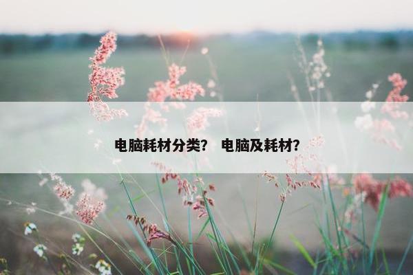 电脑耗材分类？ 电脑及耗材？