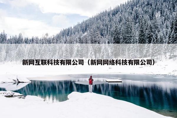 新网互联科技有限公司（新网网络科技有限公司）