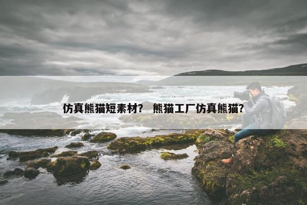 仿真熊猫短素材？ 熊猫工厂仿真熊猫？