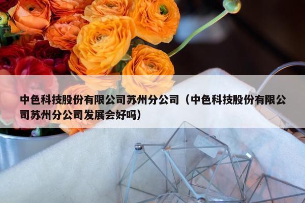 中色科技股份有限公司苏州分公司（中色科技股份有限公司苏州分公司发展会好吗）