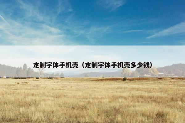 定制字体手机壳（定制字体手机壳多少钱）